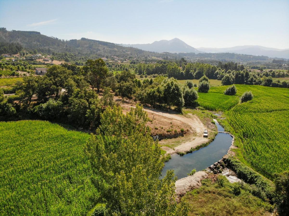 Casa Lavoura Em Requeixo Guest House เซลอริโก จิ บาสโต ภายนอก รูปภาพ
