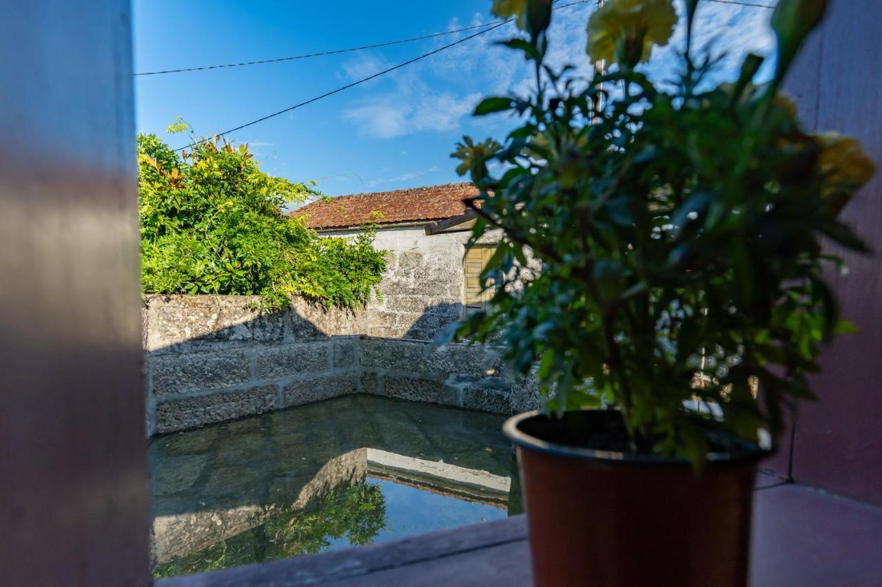 Casa Lavoura Em Requeixo Guest House เซลอริโก จิ บาสโต ภายนอก รูปภาพ